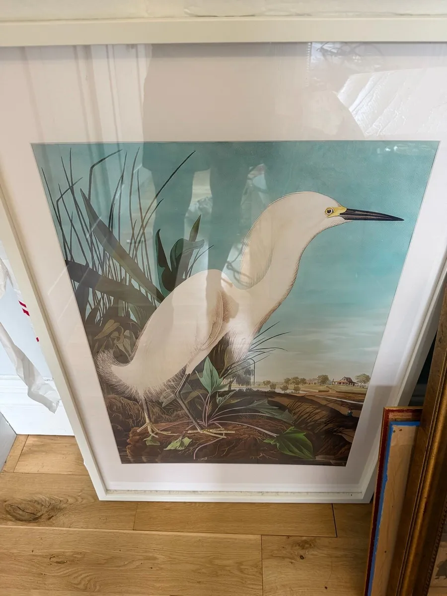 4 large prints in frames - Image 3