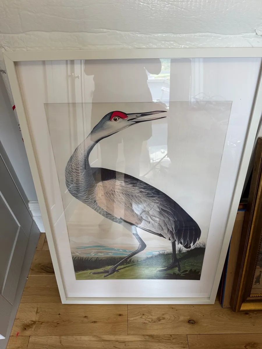 4 large prints in frames - Image 4