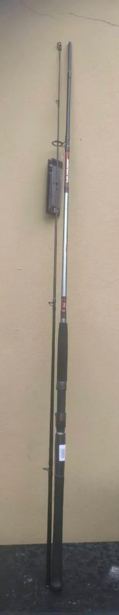 Daiwa Sea hunter 10' pier/rock rod - Image 1