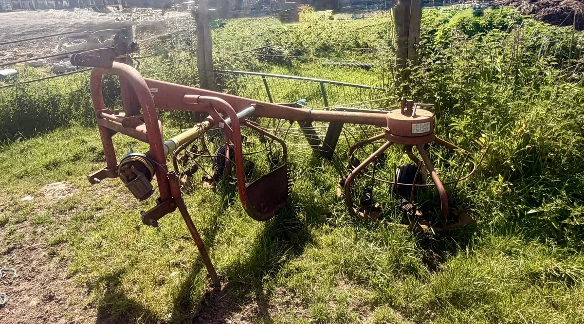 Haybobs - Image 3