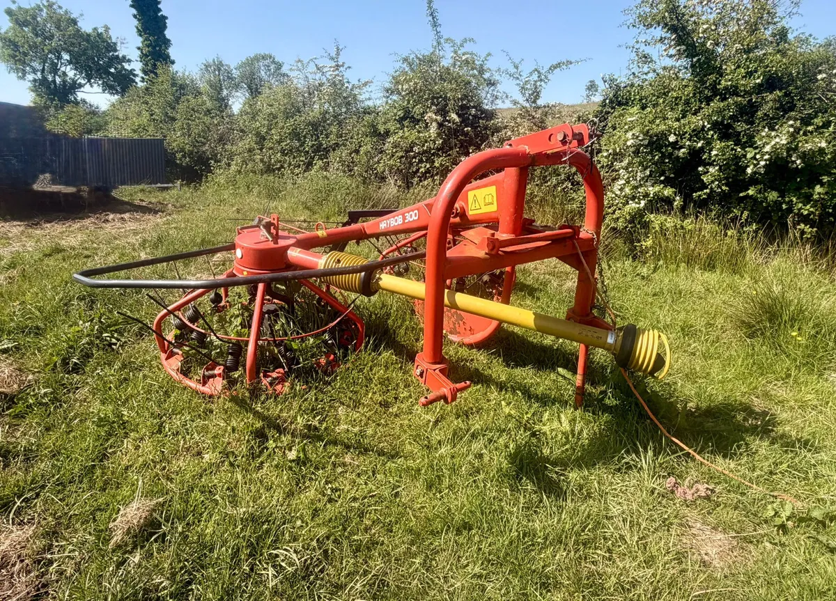 Haybobs - Image 2