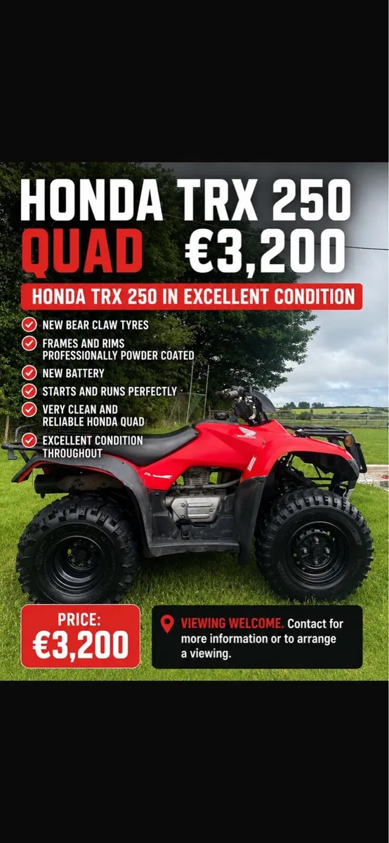 Honda TRX 250 Quad - Image 1