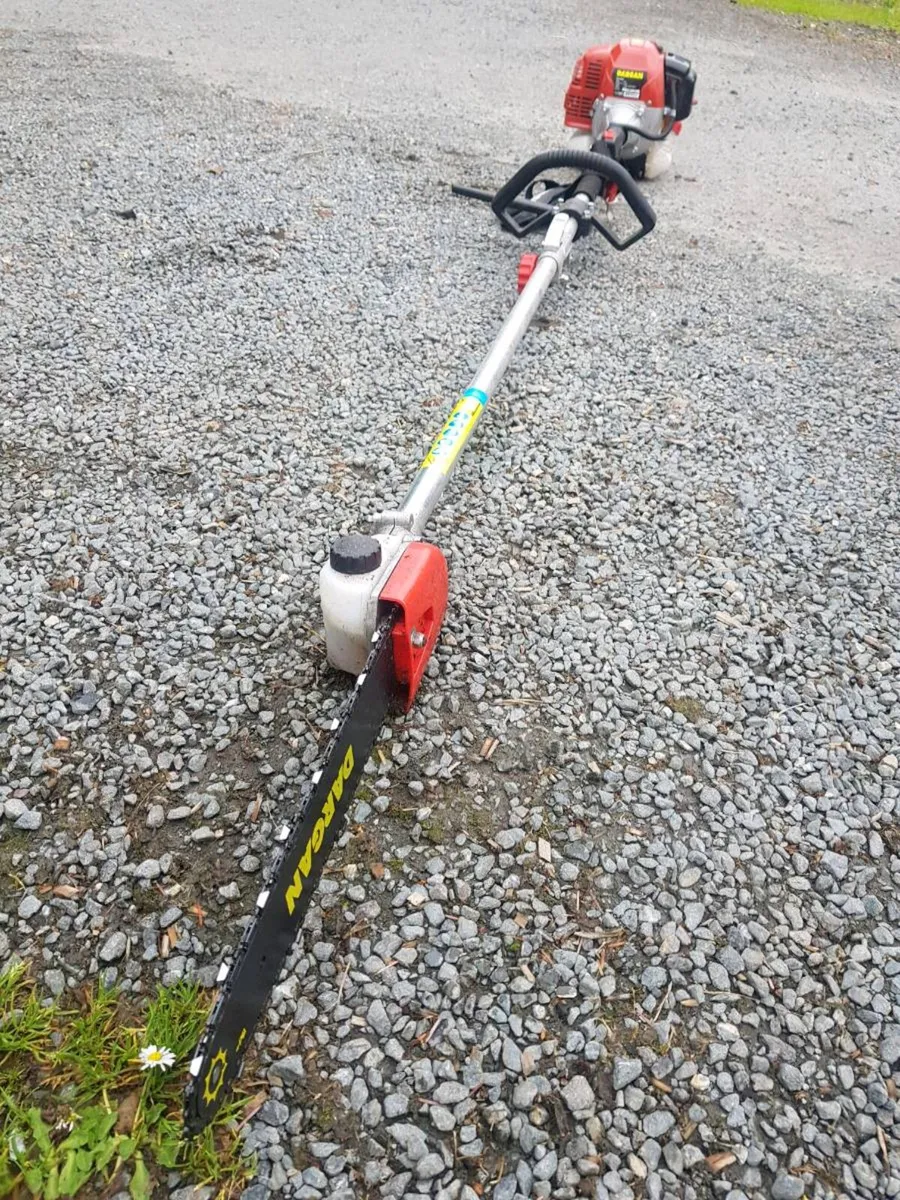 Bike and pole saw,, valencia  umit , dargan - Image 4