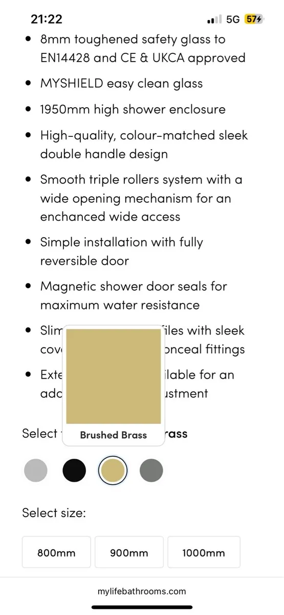 Brushed Brass Shower Door - Image 2