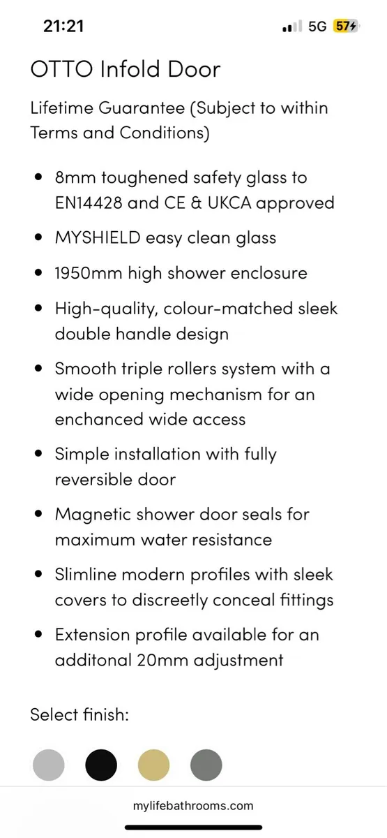 Brushed Brass Shower Door - Image 3