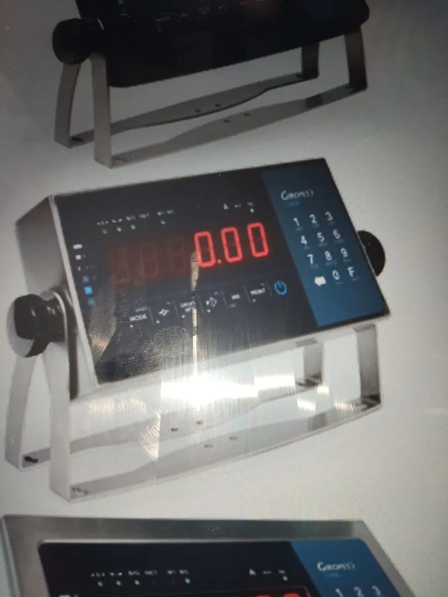 Meat intake weighing scales, hook & platform - Image 3