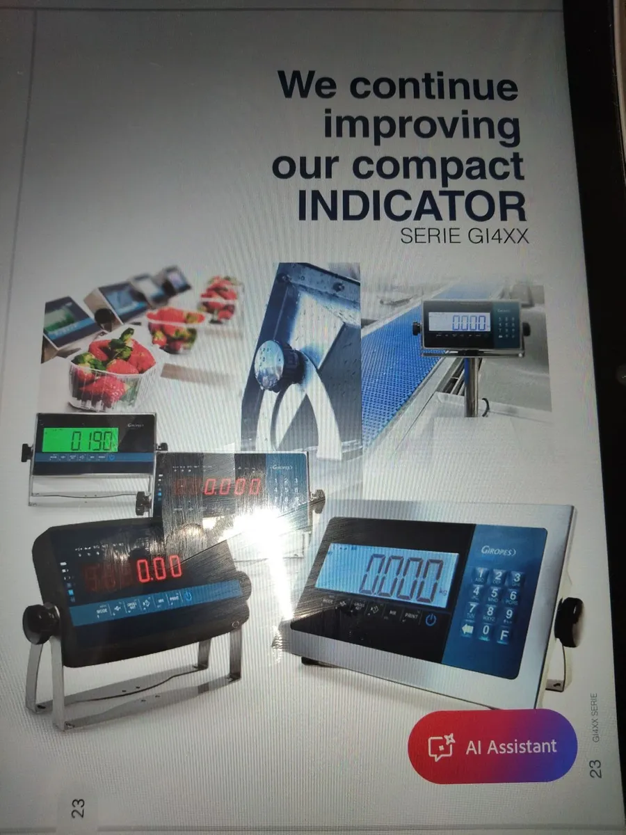 Meat intake weighing scales, hook & platform - Image 4