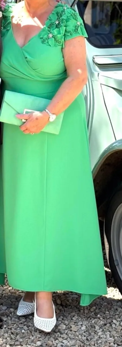 Mother of the Bride/ Groom Dress - Image 1