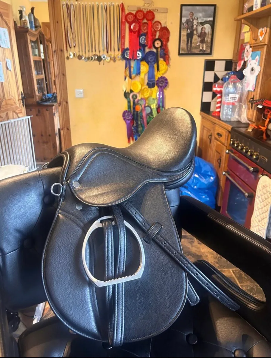 Bran new saddle