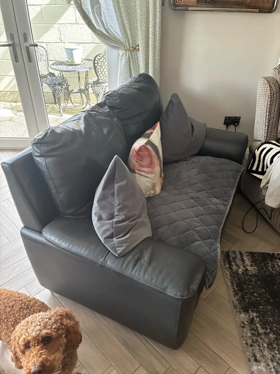Leather Sofa - Image 1