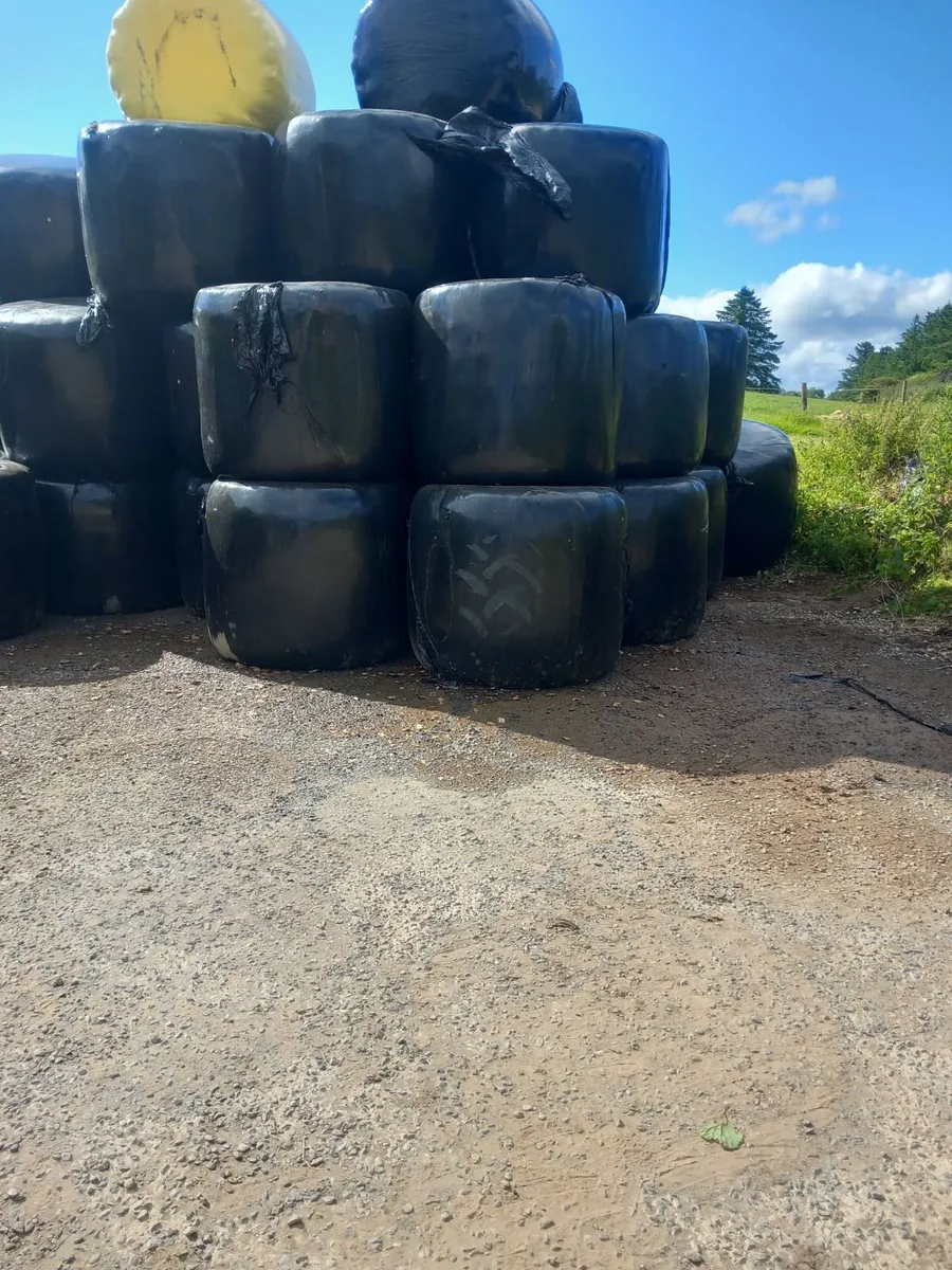 Haylage - Image 1