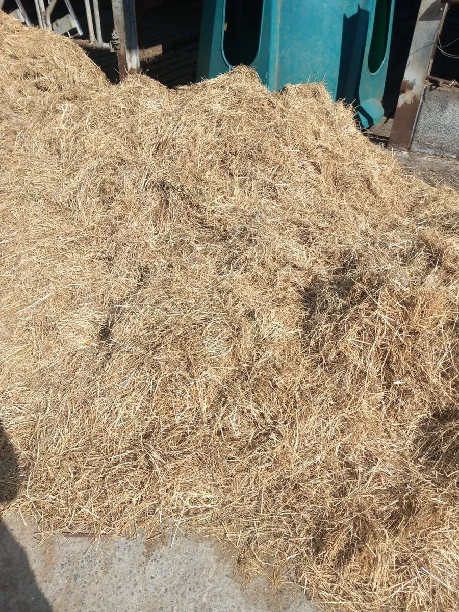Haylage - Image 2