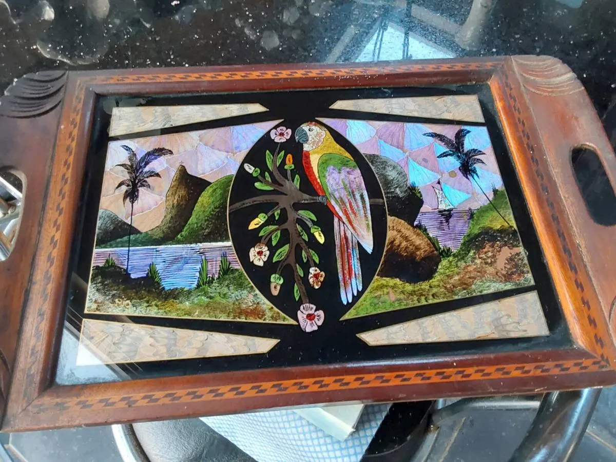 Vintage Butterfly Wing Tray - Image 2