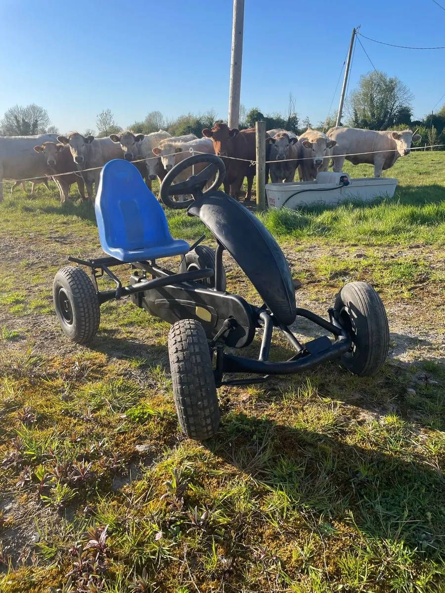 Bearg go kart - Image 1