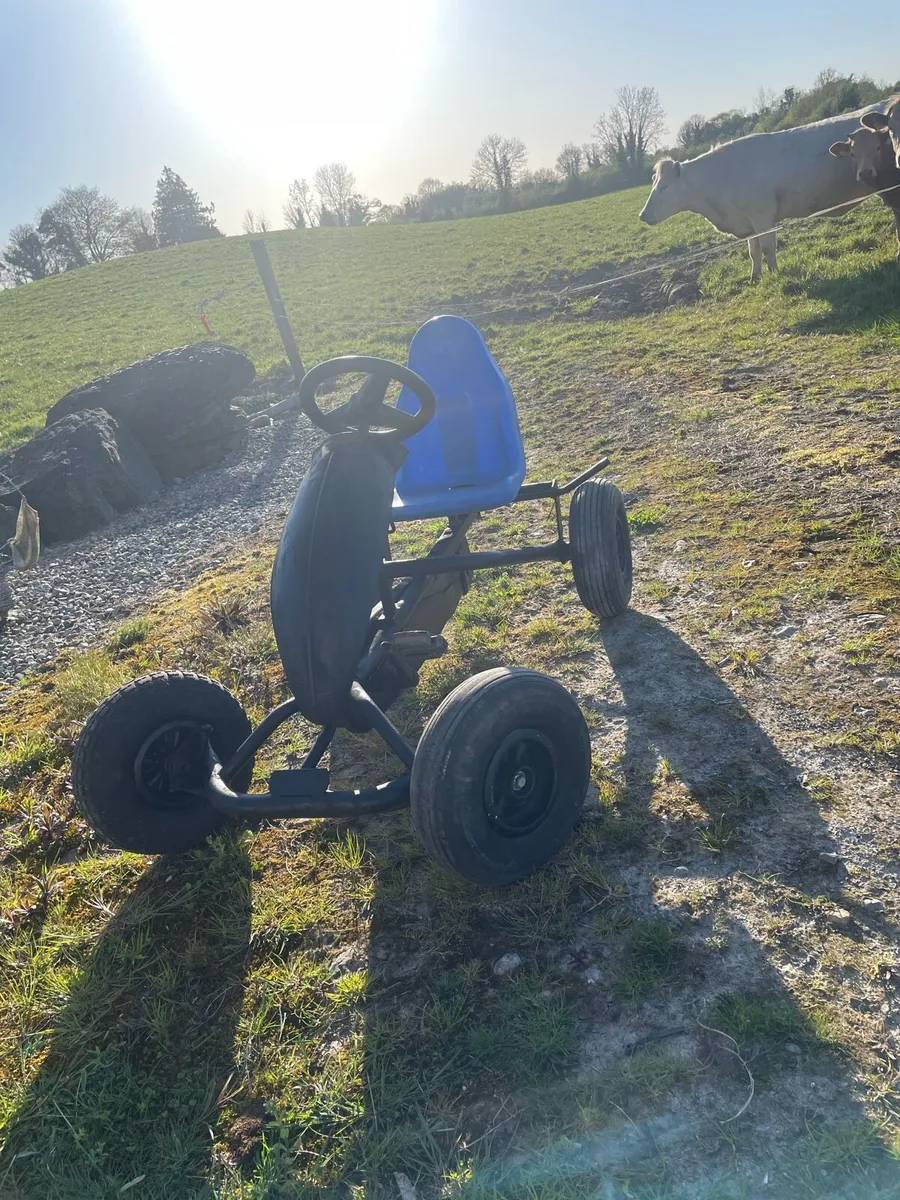 Bearg go kart - Image 2