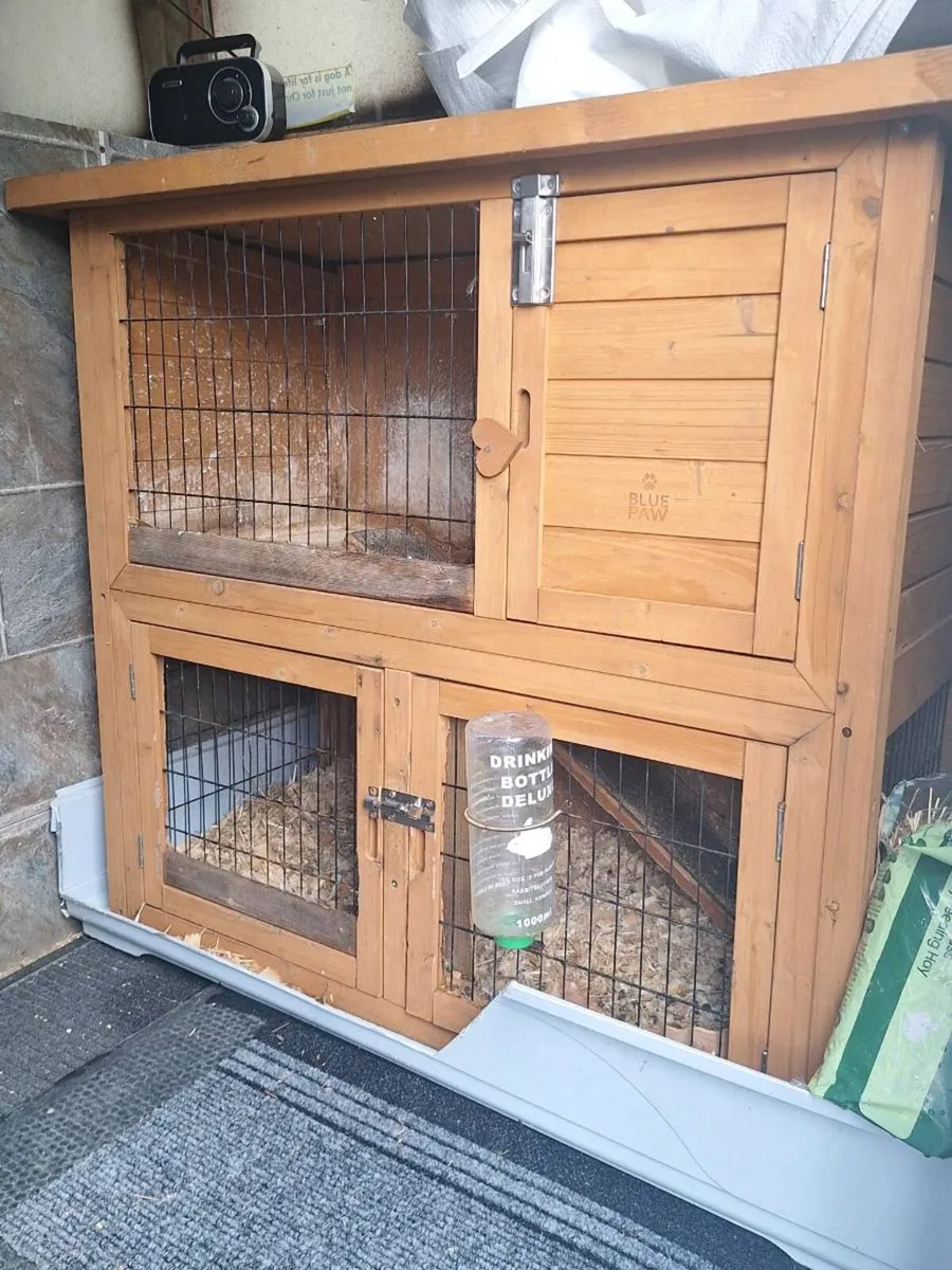 Rabbit hutch and pellets - Image 1