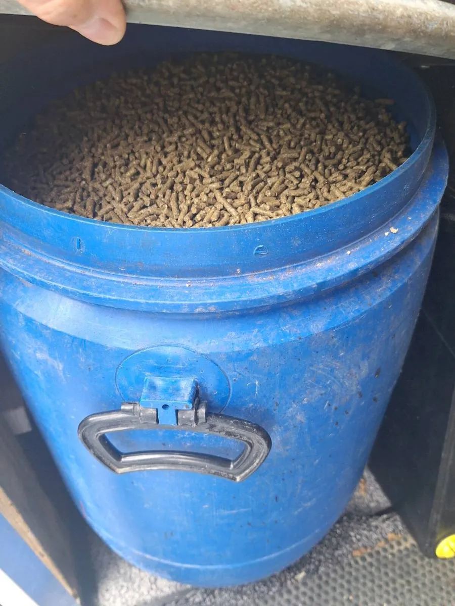 Rabbit hutch and pellets - Image 2