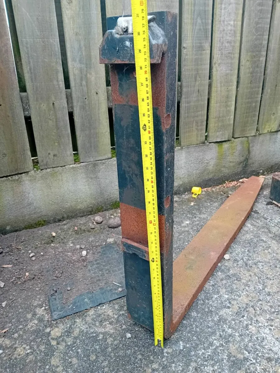 Pallet Forks - Image 1