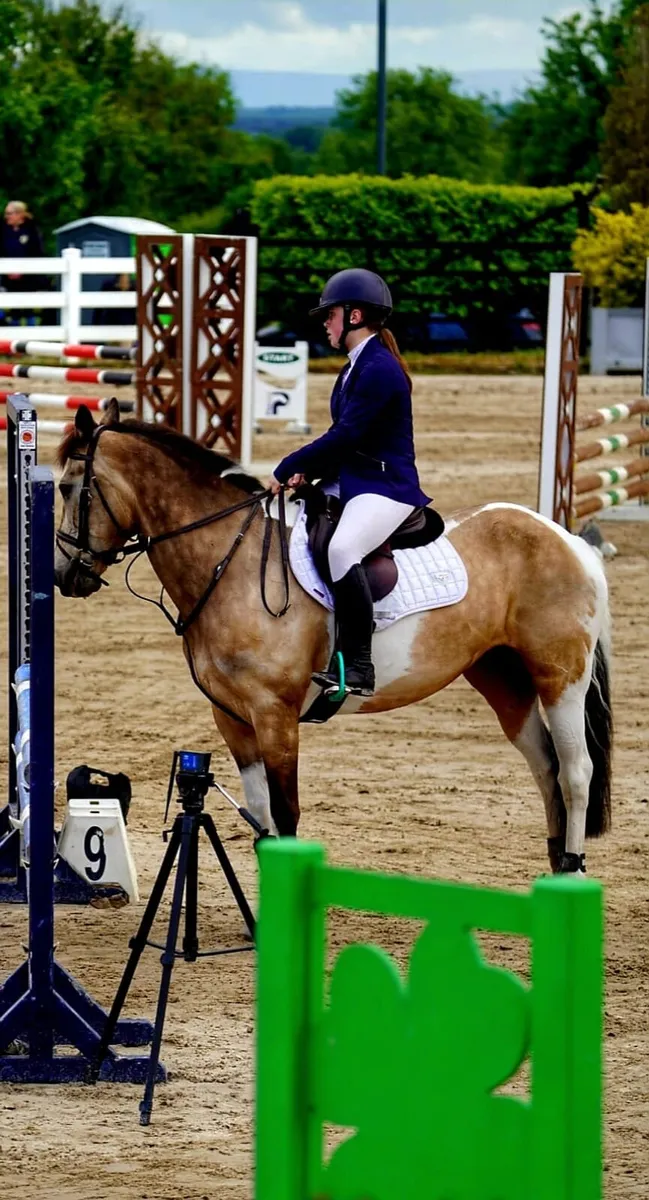 15hh mare - Image 1