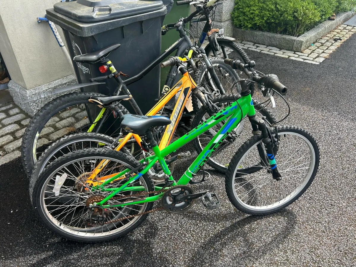 Bike - Image 1
