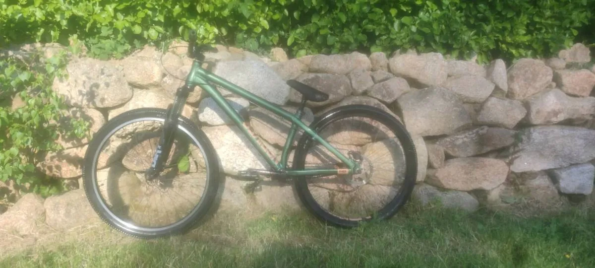 NS movement dirt jumper - Image 2