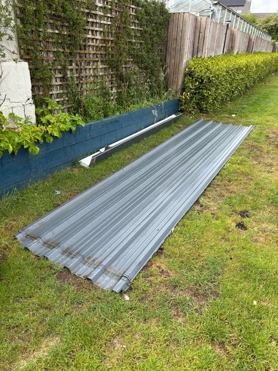Box metal roof - Image 1