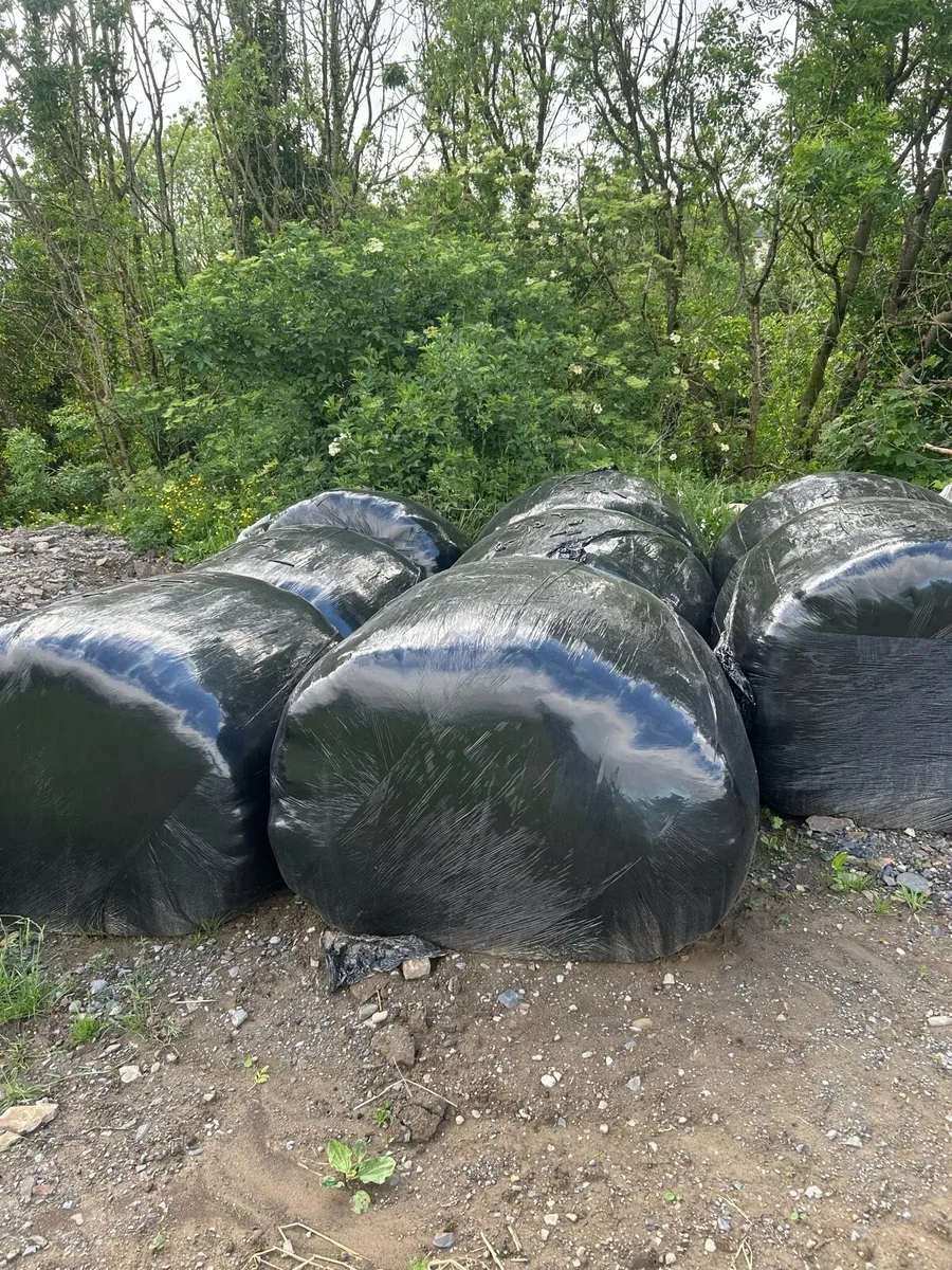 Silage bales - Image 2