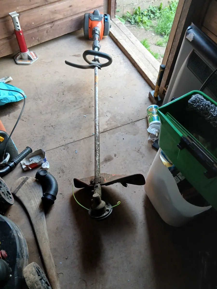 STRIMMER - Image 1