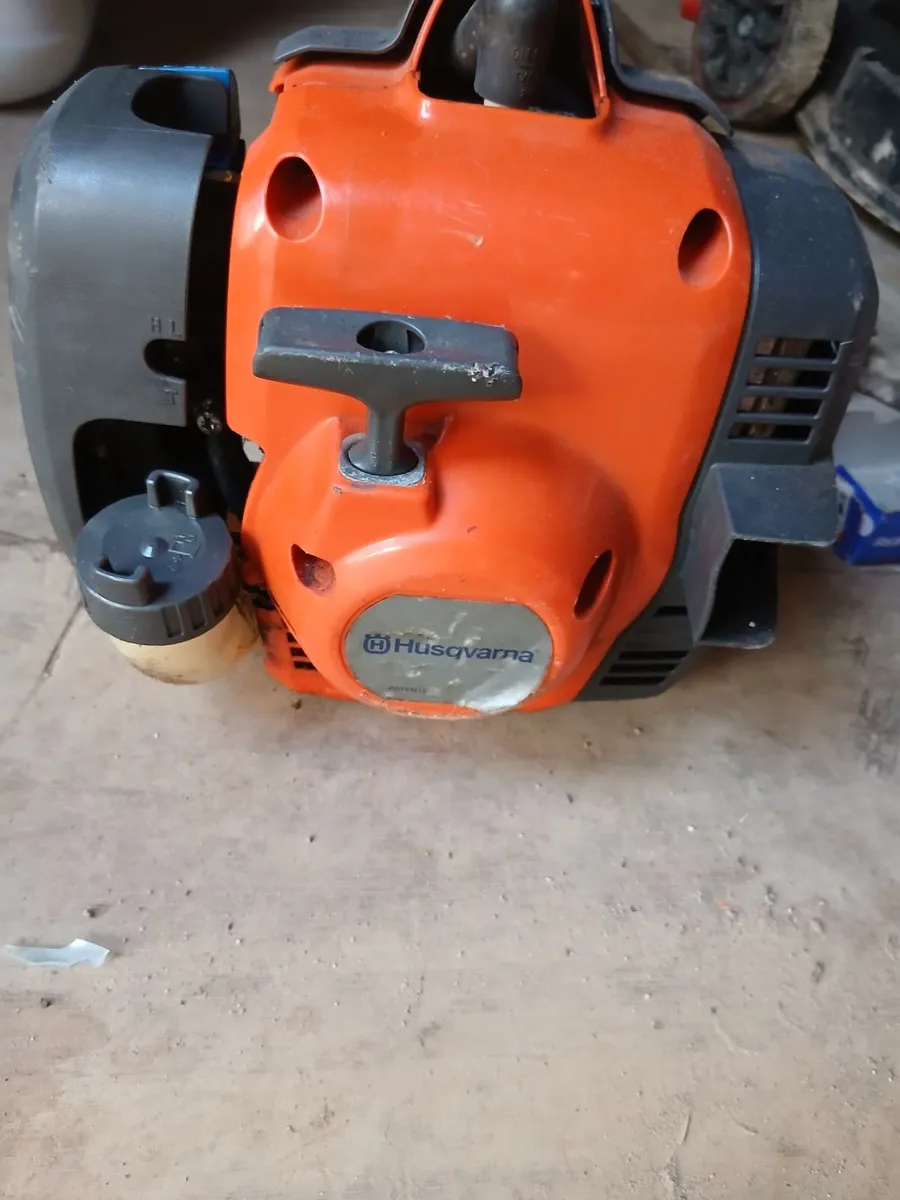 STRIMMER - Image 2