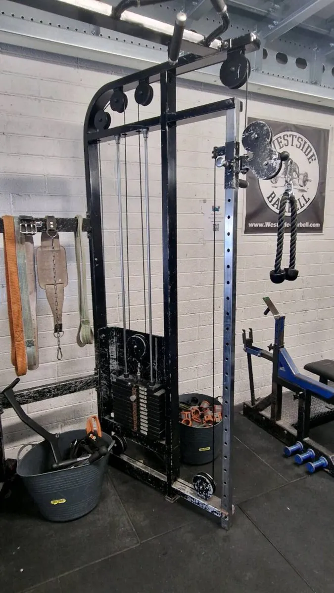 Dual arm cable machine - Image 2
