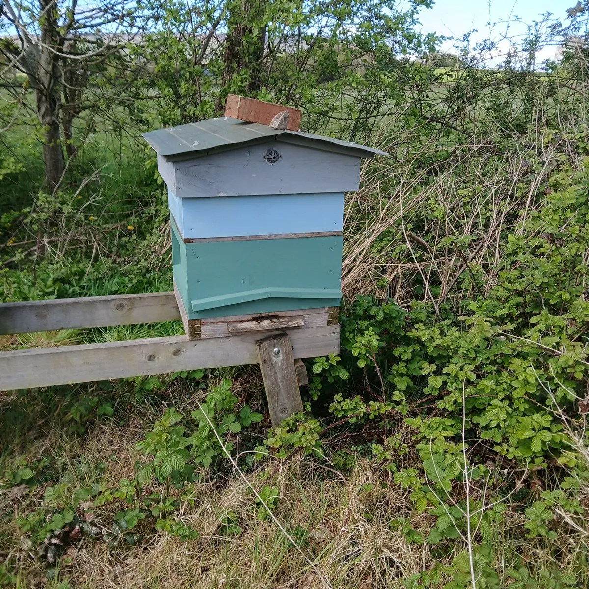 Bee hive  complete with bees.