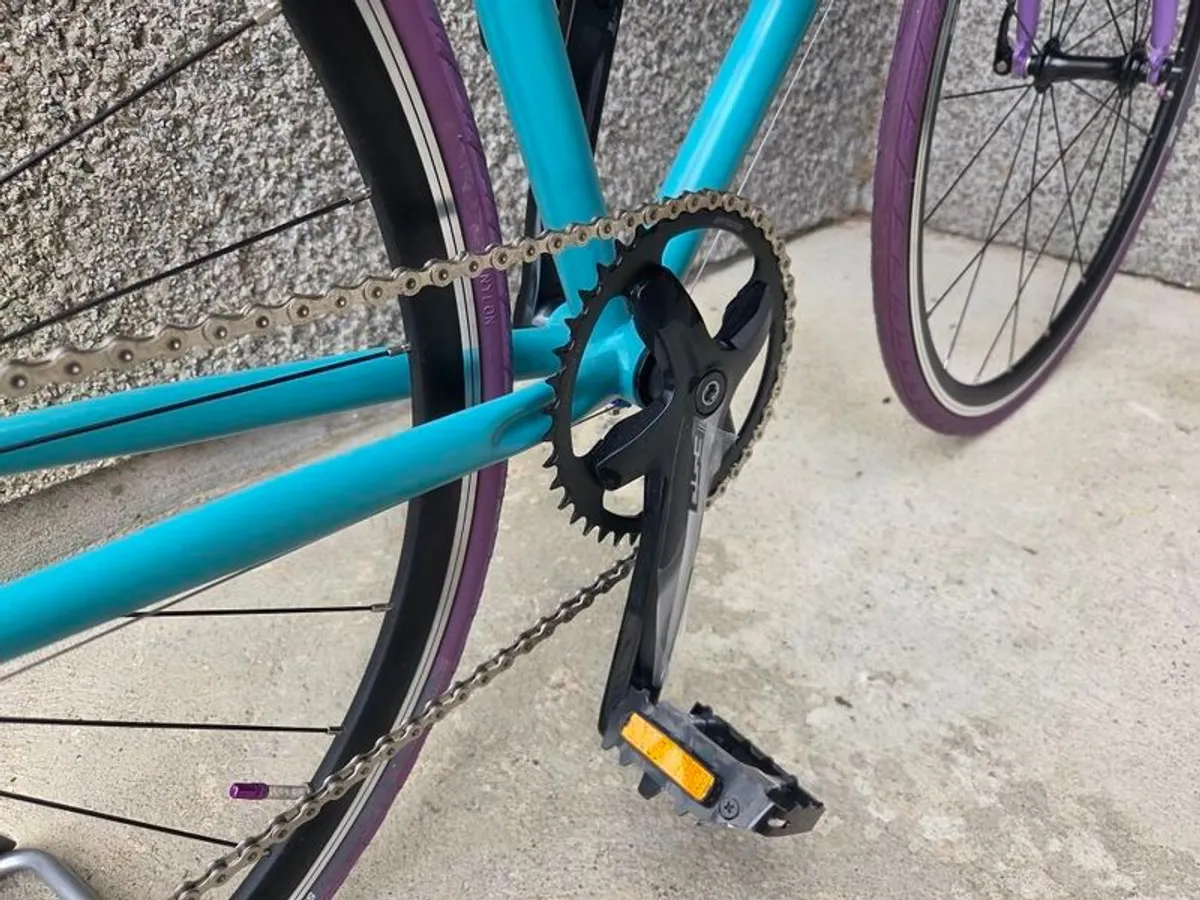 Mango Bicycle (Brand New) - Image 4
