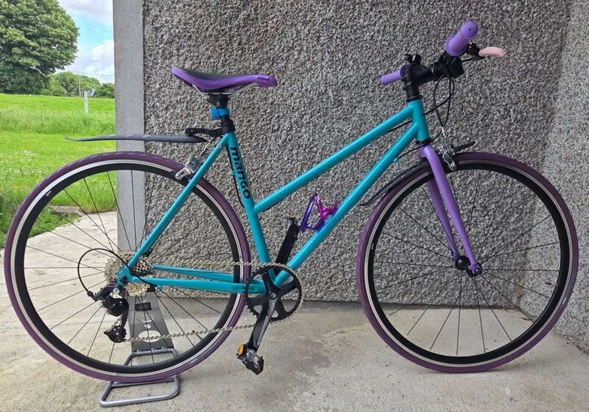 Mango Bicycle (Brand New) - Image 1