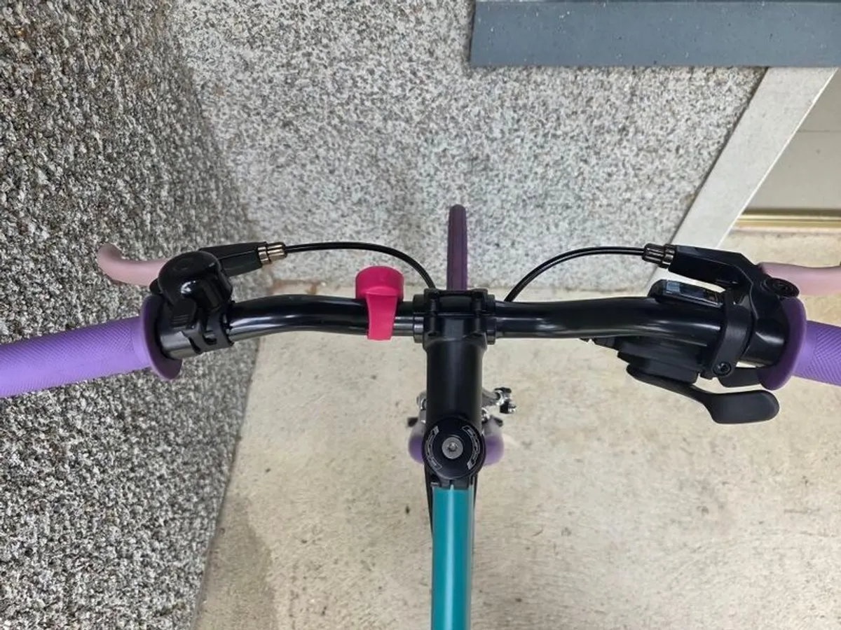 Mango Bicycle (Brand New) - Image 2