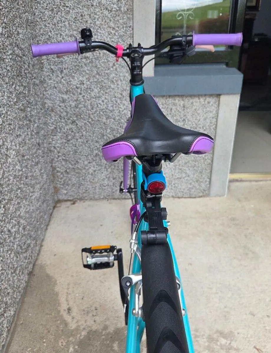 Mango Bicycle (Brand New) - Image 3