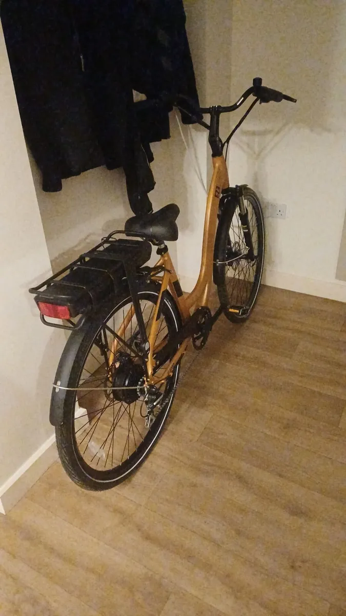 E bike - Image 1