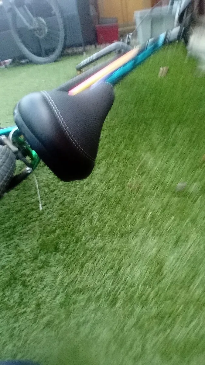 Bike - Image 3