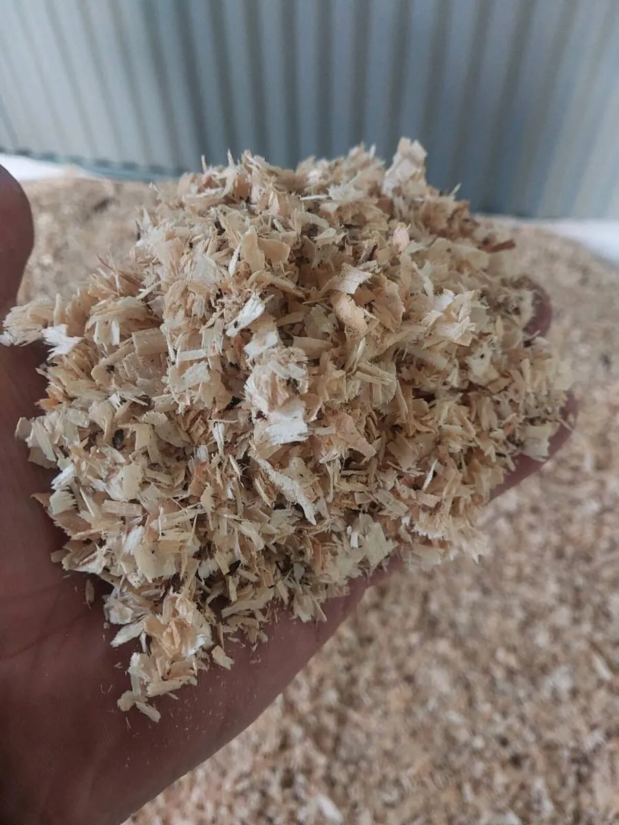 Sawdust - Image 1