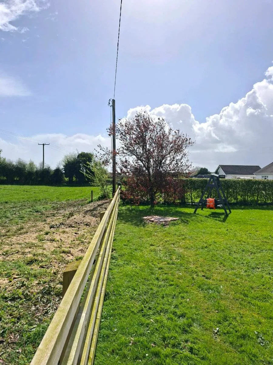 Tree Care - Image 4