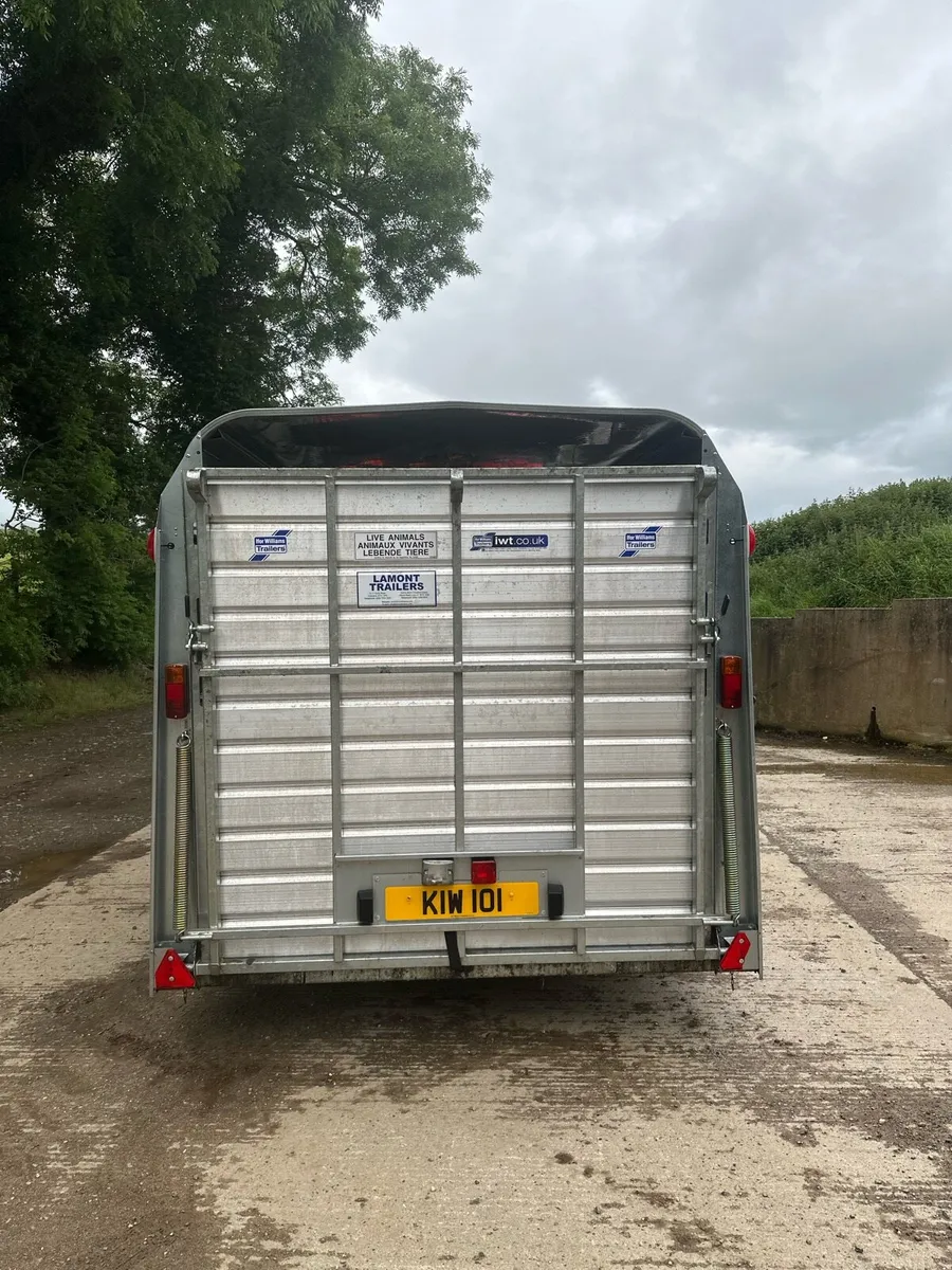 Ifor williams - Image 2