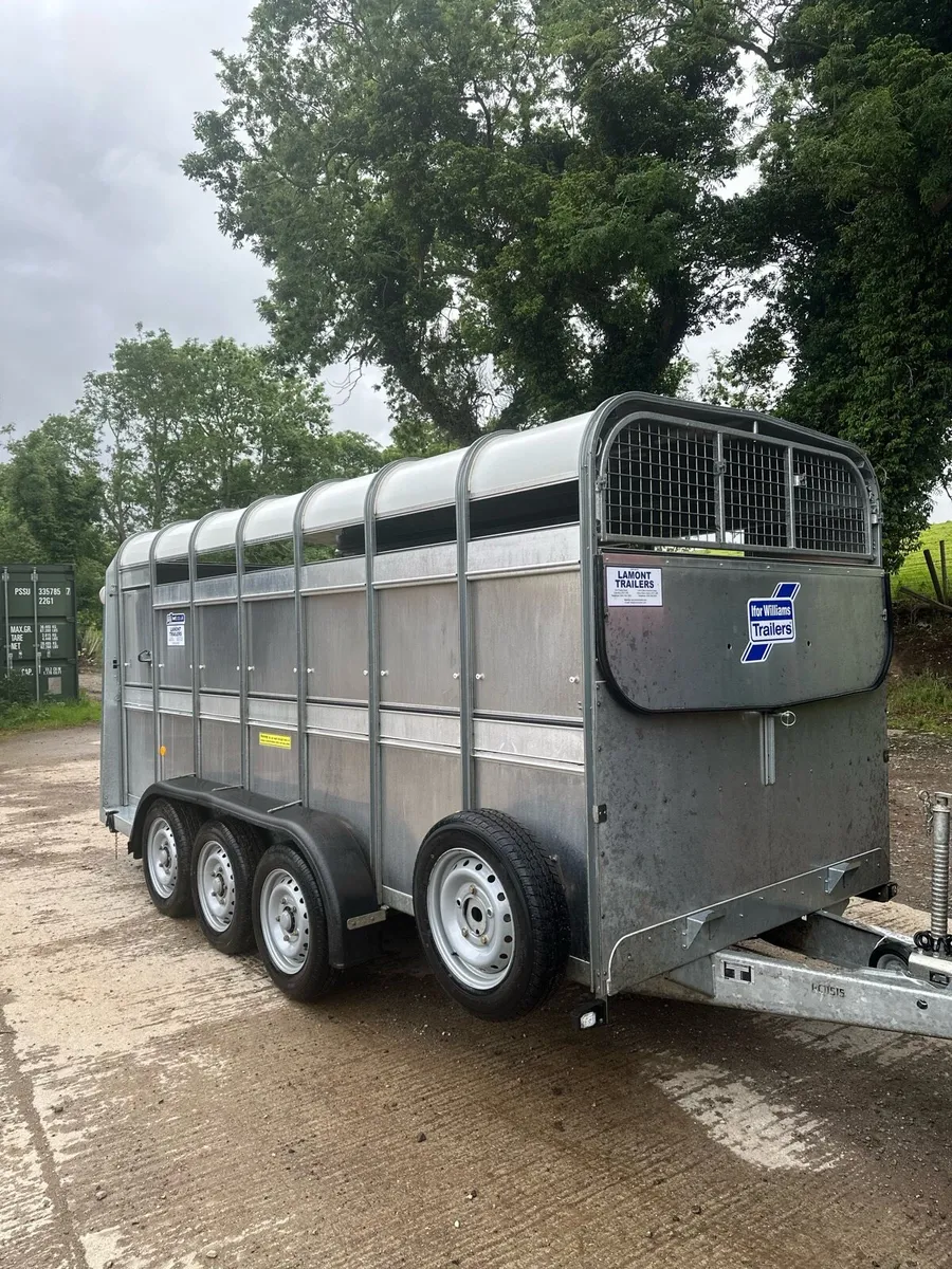 Ifor williams - Image 3
