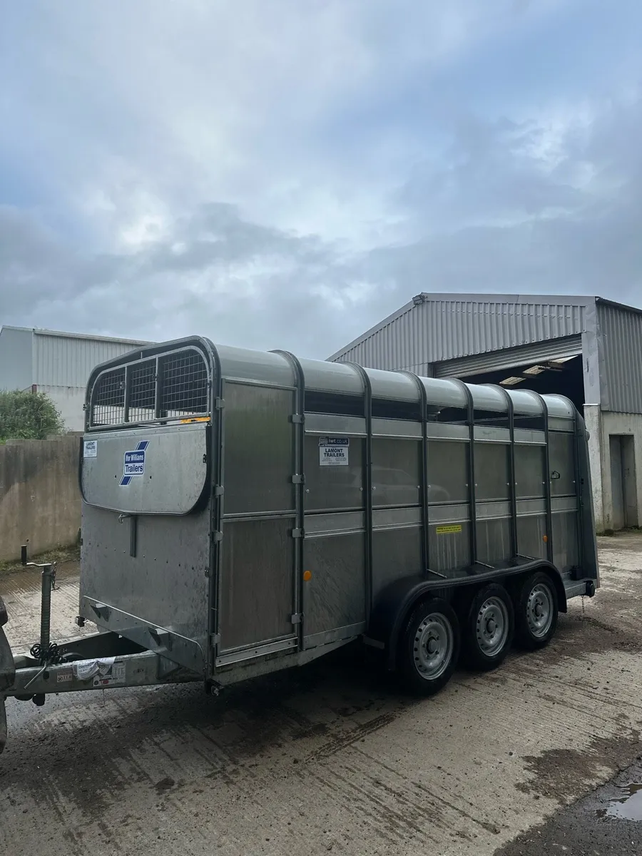 Ifor williams - Image 1