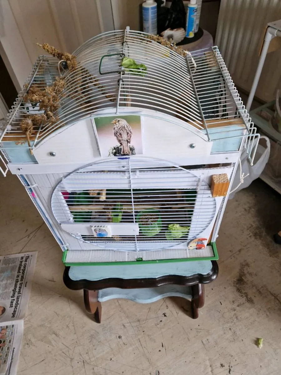 . cage food .book nest box. - Image 1