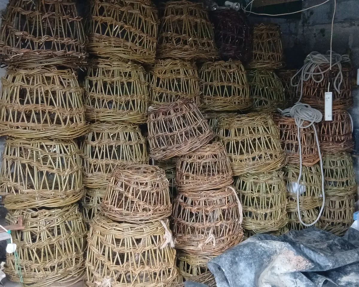 Willow lobster pots