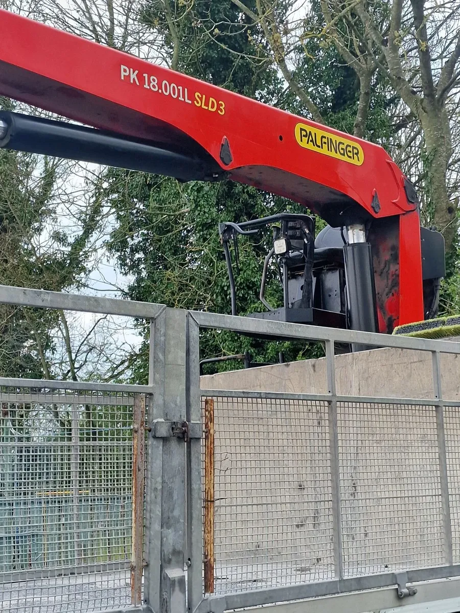 TRUCKS WITH CRANE S - Image 4