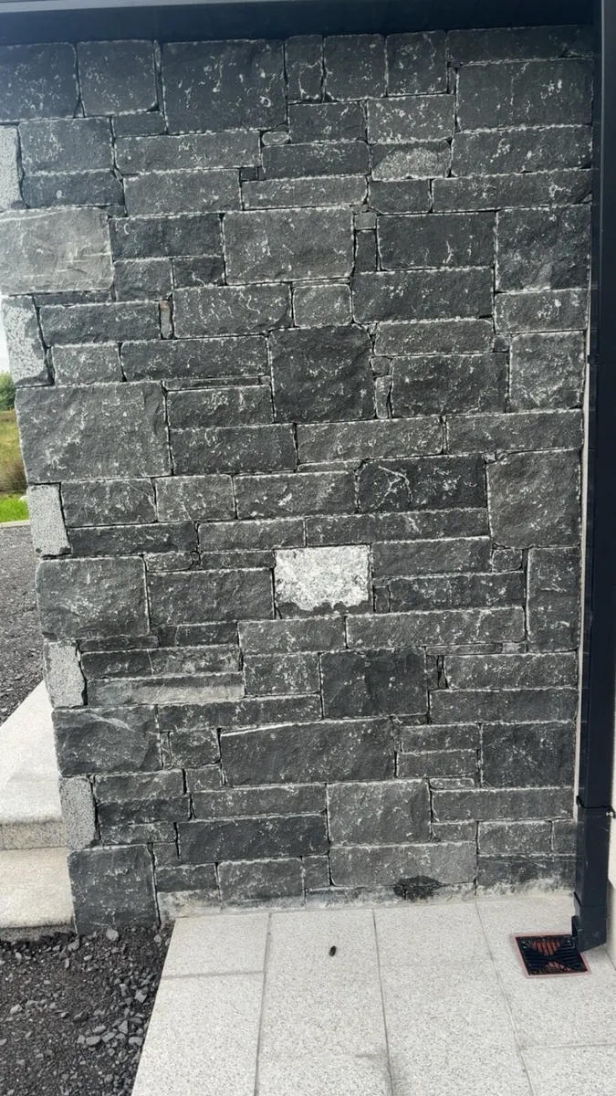 Kilkenny limestone - Image 1