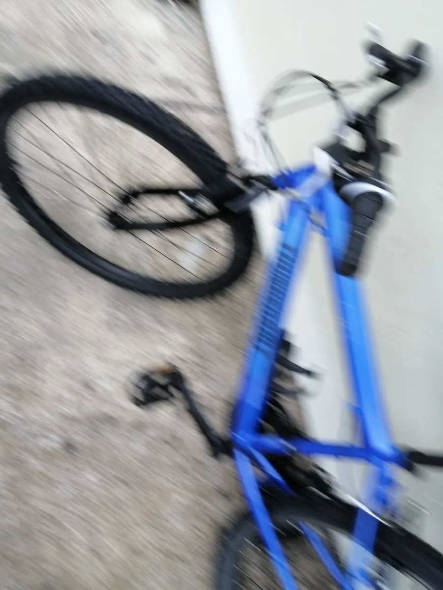 Bike - Image 2