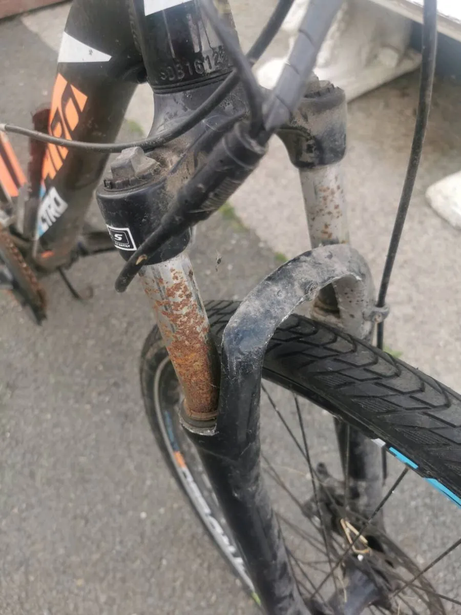 Elictric bike - Image 3