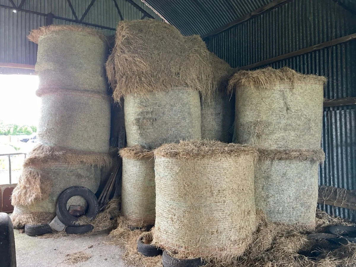 Round bales hay left - no square bales - Image 1