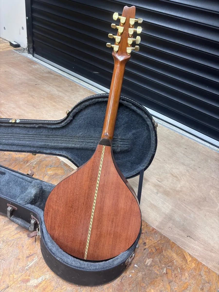Handmade Irish Mandola - Image 4